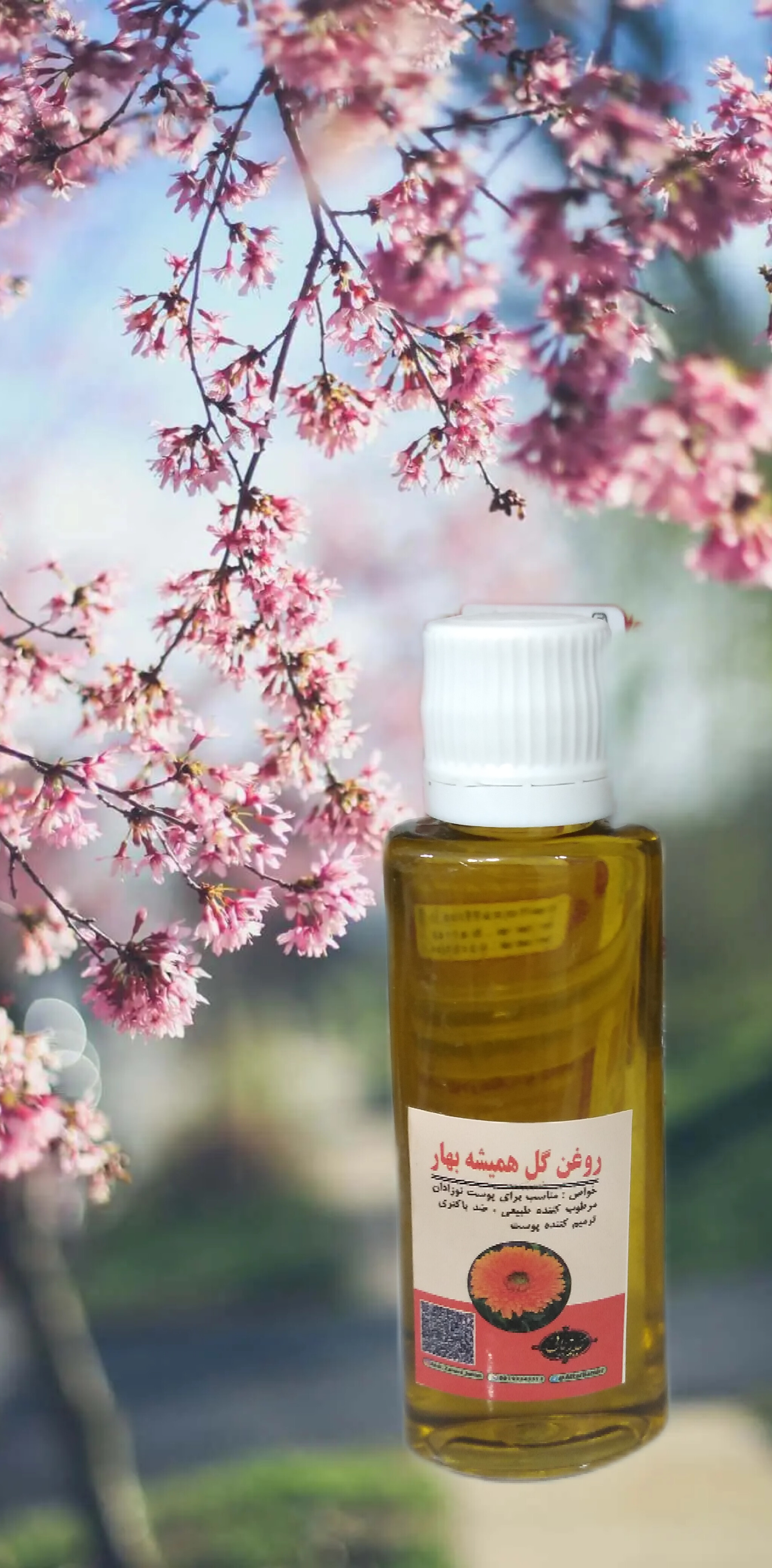 روغن همیشه بهار