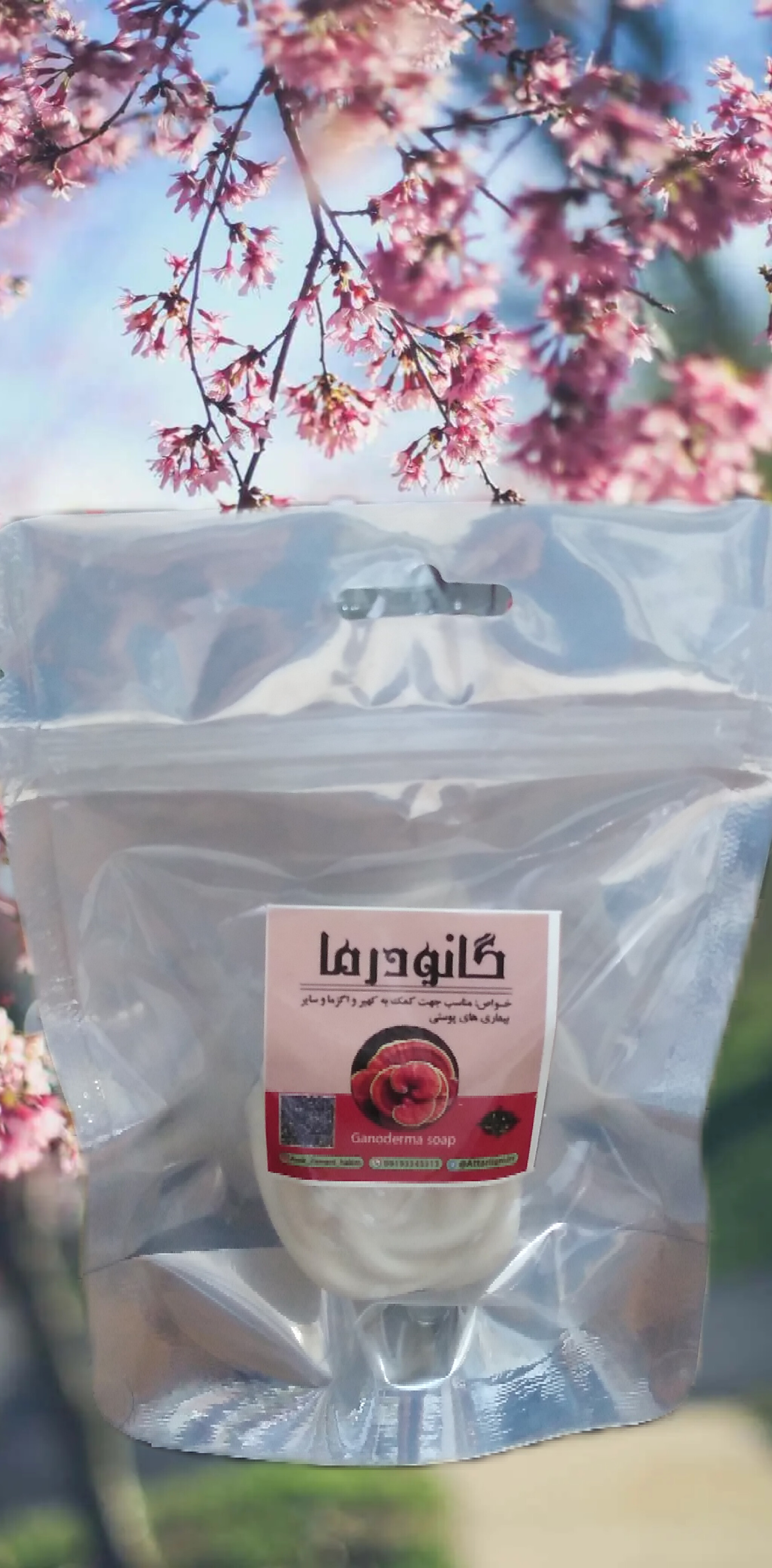 صابون گانودرما